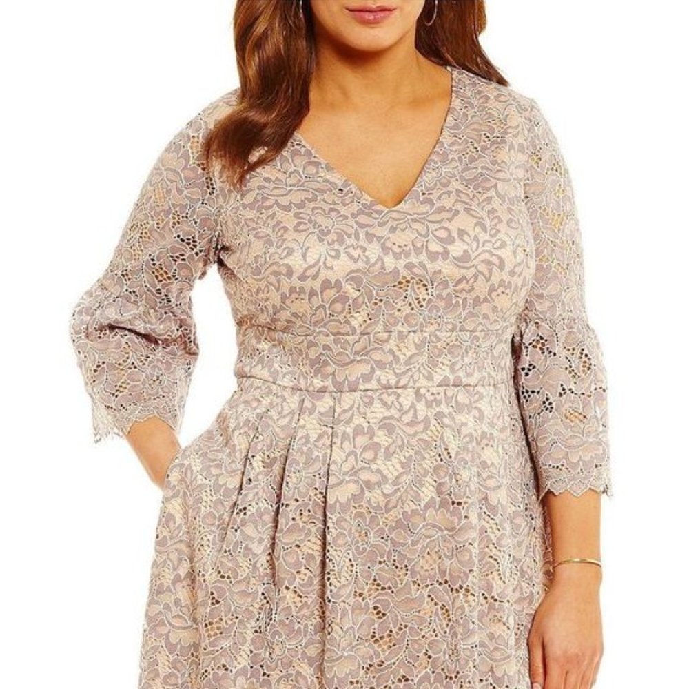 Lace Fit and Flare Dress